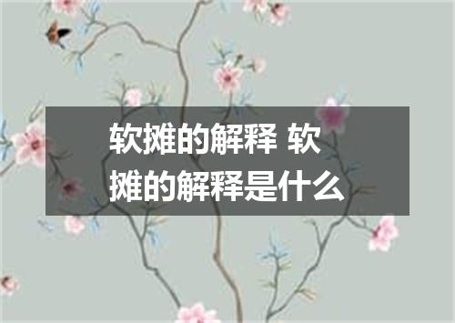 软摊的解释 软摊的解释是什么