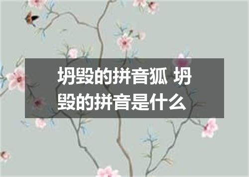 坍毁的拼音狐 坍毁的拼音是什么