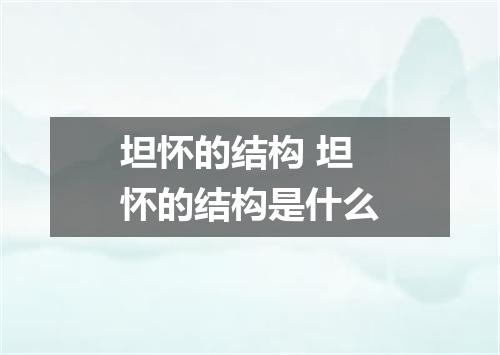 坦怀的结构 坦怀的结构是什么