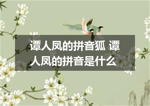 谭人凤的拼音狐 谭人凤的拼音是什么
