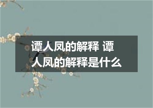 谭人凤的解释 谭人凤的解释是什么