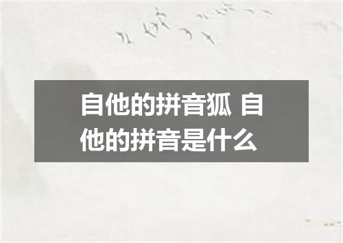 自他的拼音狐 自他的拼音是什么