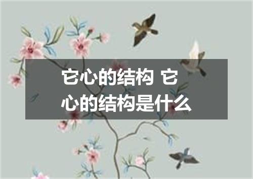 它心的结构 它心的结构是什么
