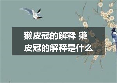 獭皮冠的解释 獭皮冠的解释是什么