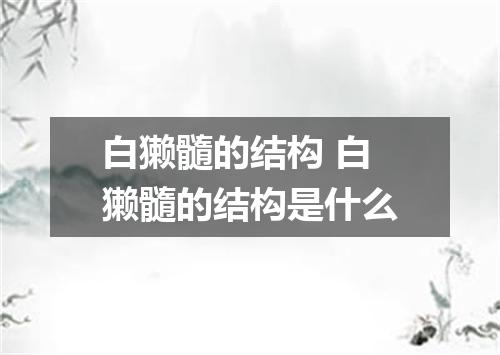 白獭髓的结构 白獭髓的结构是什么