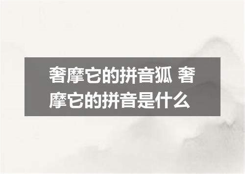 奢摩它的拼音狐 奢摩它的拼音是什么