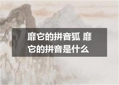 靡它的拼音狐 靡它的拼音是什么