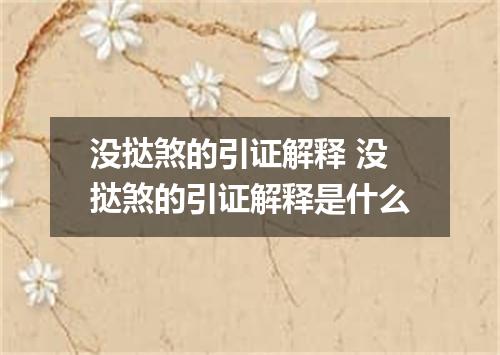 没挞煞的引证解释 没挞煞的引证解释是什么