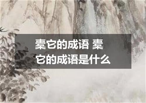 橐它的成语 橐它的成语是什么