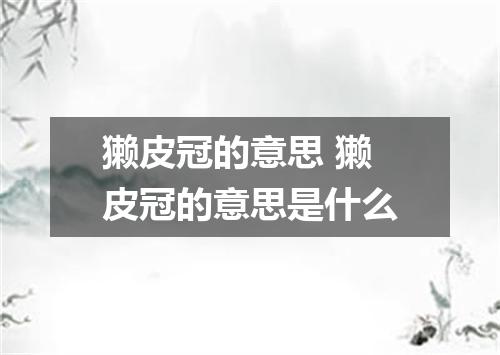 獭皮冠的意思 獭皮冠的意思是什么