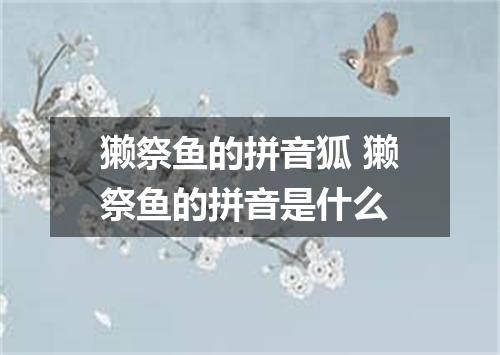 獭祭鱼的拼音狐 獭祭鱼的拼音是什么