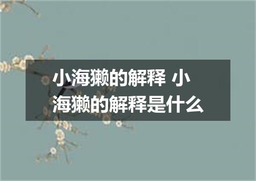 小海獭的解释 小海獭的解释是什么