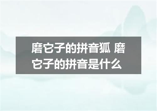 磨它子的拼音狐 磨它子的拼音是什么