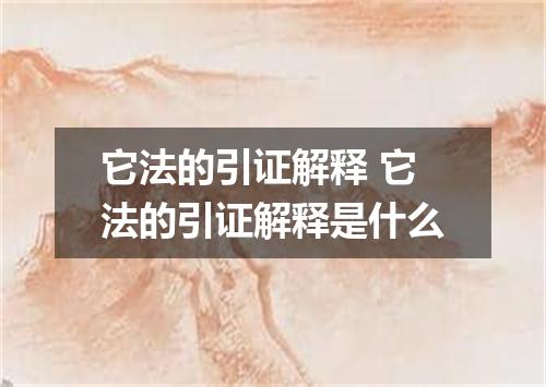 它法的引证解释 它法的引证解释是什么