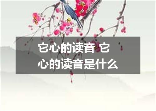 它心的读音 它心的读音是什么