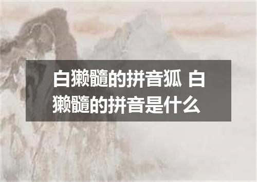 白獭髓的拼音狐 白獭髓的拼音是什么