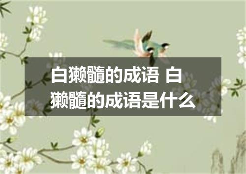 白獭髓的成语 白獭髓的成语是什么