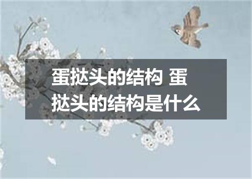 蛋挞头的结构 蛋挞头的结构是什么