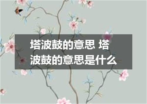 塔波鼓的意思 塔波鼓的意思是什么