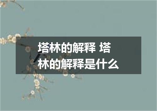 塔林的解释 塔林的解释是什么