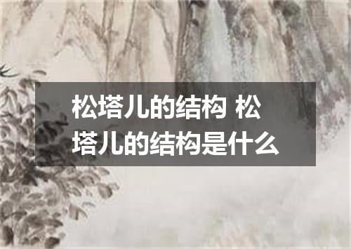 松塔儿的结构 松塔儿的结构是什么