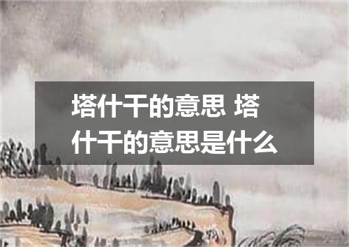 塔什干的意思 塔什干的意思是什么