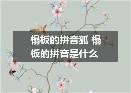 榻板的拼音狐 榻板的拼音是什么