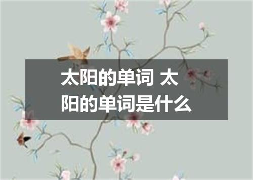 太阳的单词 太阳的单词是什么