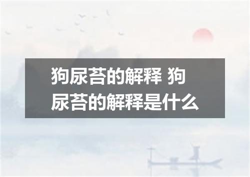 狗尿苔的解释 狗尿苔的解释是什么