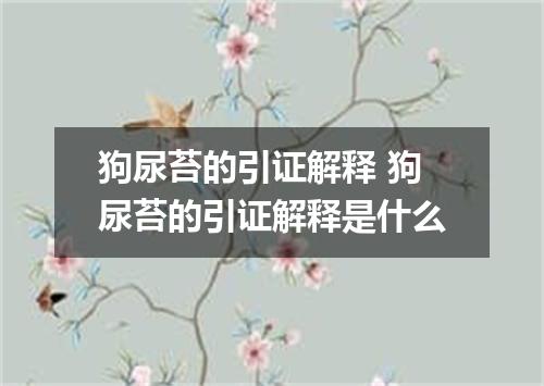 狗尿苔的引证解释 狗尿苔的引证解释是什么