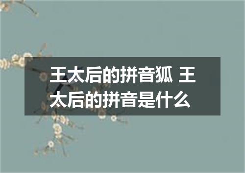 王太后的拼音狐 王太后的拼音是什么