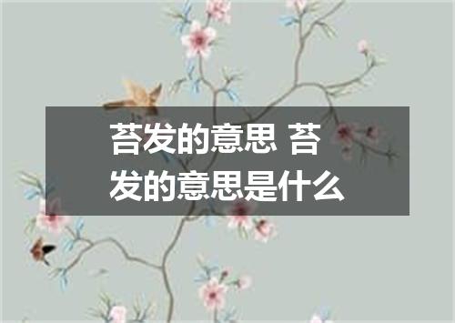苔发的意思 苔发的意思是什么