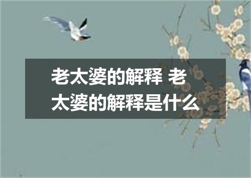 老太婆的解释 老太婆的解释是什么