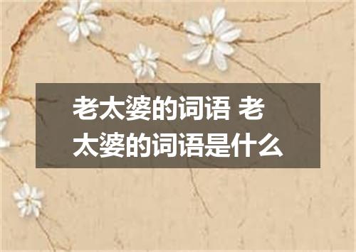 老太婆的词语 老太婆的词语是什么