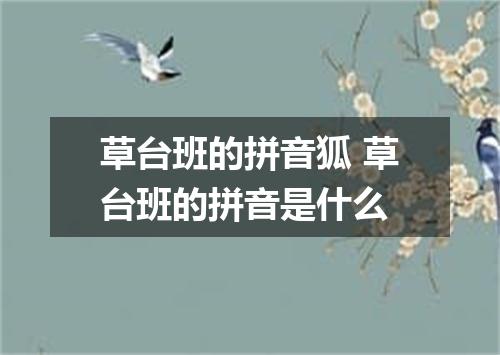 草台班的拼音狐 草台班的拼音是什么