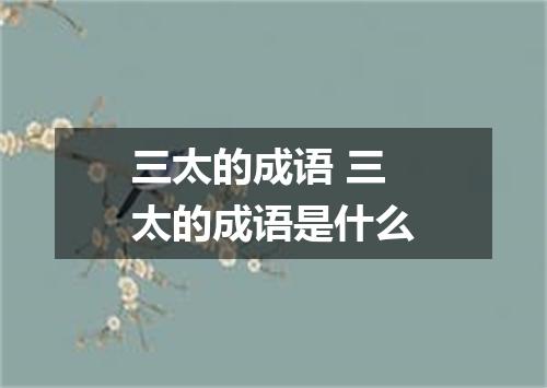 三太的成语 三太的成语是什么