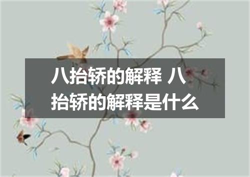 八抬轿的解释 八抬轿的解释是什么