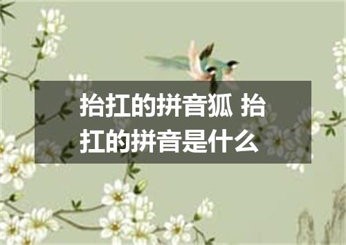 抬扛的拼音狐 抬扛的拼音是什么