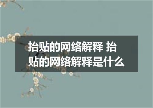 抬贴的网络解释 抬贴的网络解释是什么