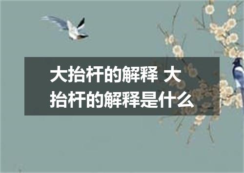 大抬杆的解释 大抬杆的解释是什么