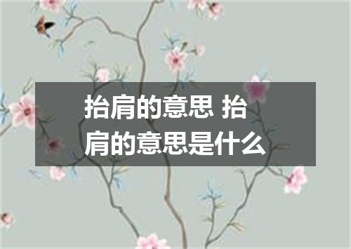 抬肩的意思 抬肩的意思是什么