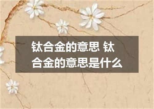 钛合金的意思 钛合金的意思是什么