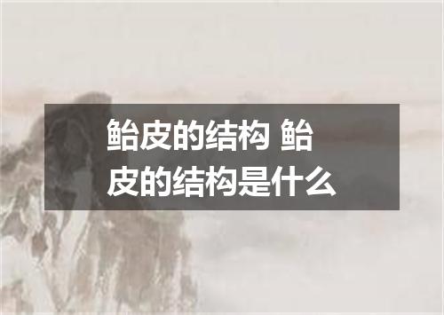 鲐皮的结构 鲐皮的结构是什么
