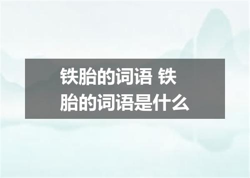 铁胎的词语 铁胎的词语是什么