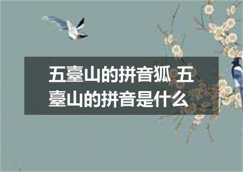 五臺山的拼音狐 五臺山的拼音是什么