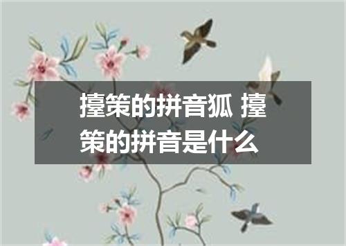 擡策的拼音狐 擡策的拼音是什么