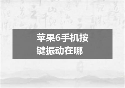 苹果6手机按键振动在哪