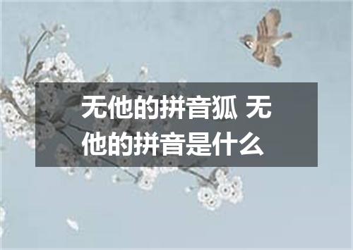 无他的拼音狐 无他的拼音是什么