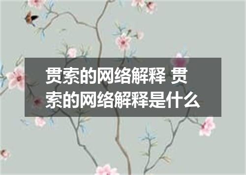 贯索的网络解释 贯索的网络解释是什么