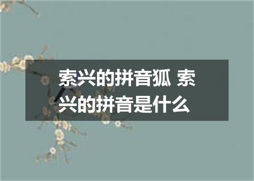 索兴的拼音狐 索兴的拼音是什么
